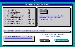DiskFix ist ein Ersatz für Scandisk...