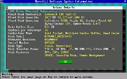 und noch die Daten der Festplatte